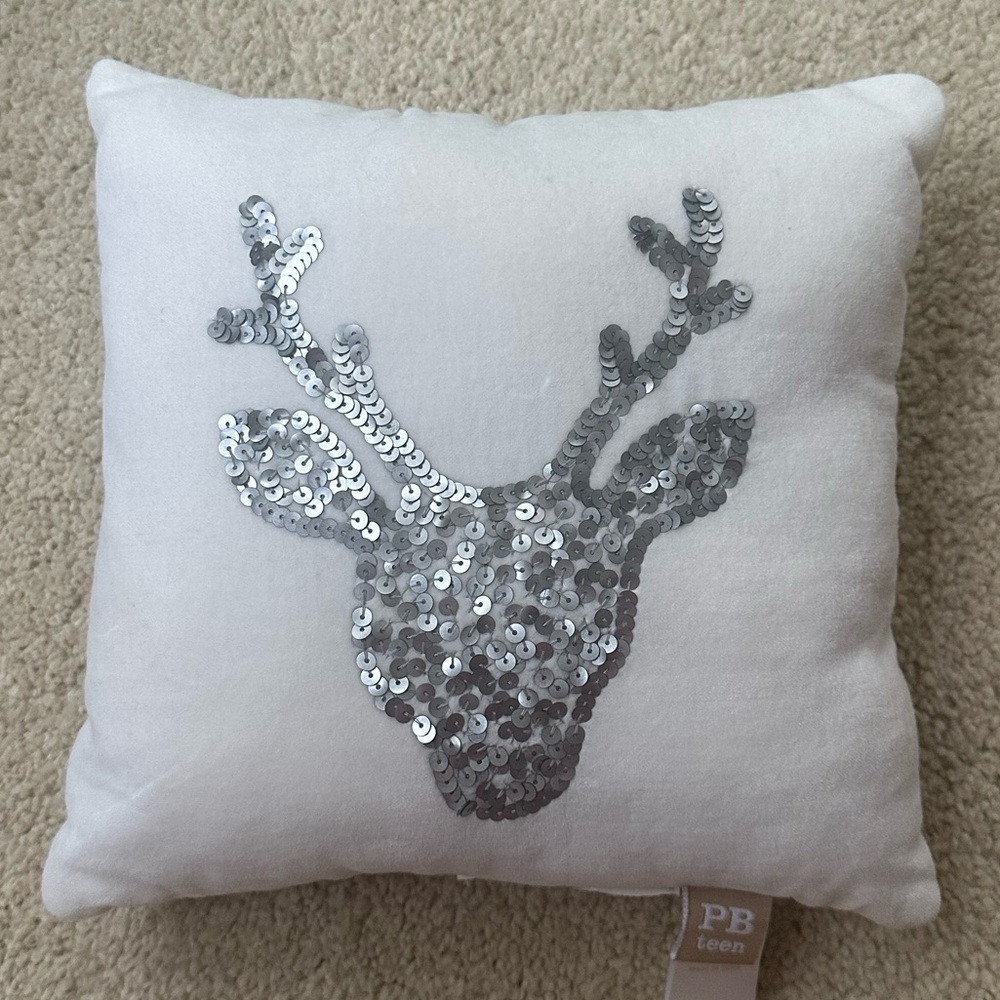PBTeen accent pillow